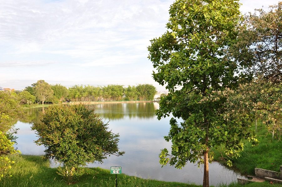 Lago cercado de árvores e gramado